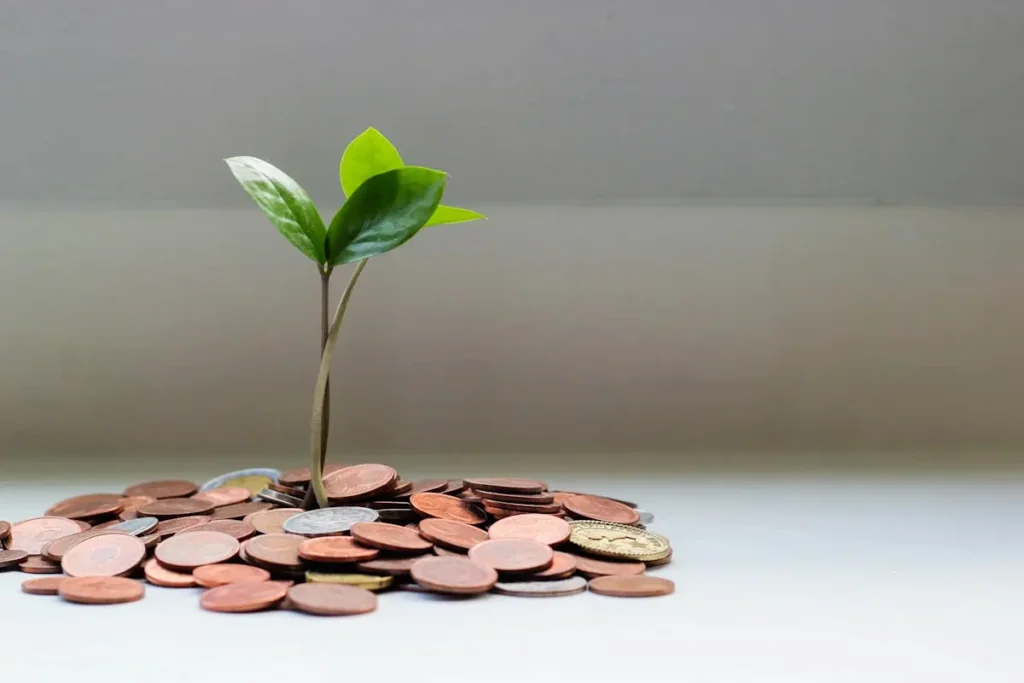 A green plant growing from a pile of coins representing steady wealth growth and safe investment options for beginners
